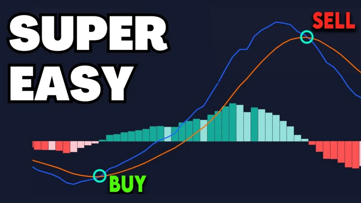 How I Trade The Macd Divergence Strategy